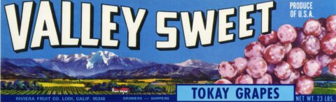 Valley Sweet